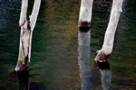 落合ダムの水景色、三知恵