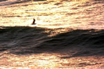 波の情景、夕翔