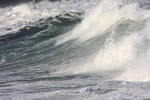 波の情景、怒る秋波