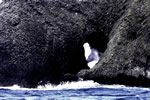 波の情景、穴岩