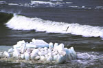 波の情景、流氷