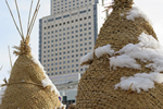 札幌冬物語、北口の異景