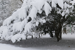 札幌冬物語、豪雪