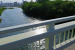 橋の見える風景、東橋から