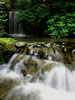 札幌水風景、公園の主役