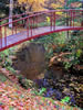 紅桜公園の秋、もみじ橋