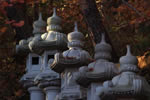 紅桜公園の秋、さよなら公園