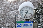 初雪、円山公園、雪帽子