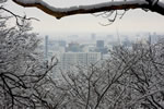 初雪、円山公園、眺望