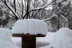 初雪、円山公園、ベンチ