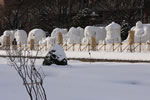 雪祭り 斜め撮り、コンクール遠望