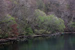支笏湖３、千歳川の春