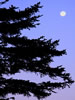 晩秋の オンネトー ＆ 津別峠、月は見ていた