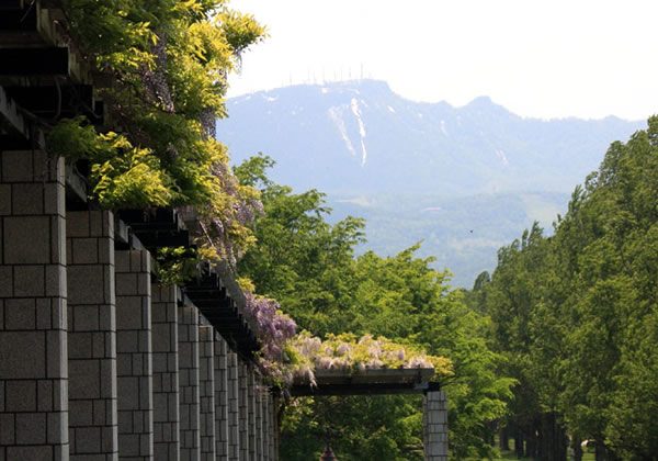 手稲山、手稲の笑み