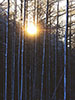 北国に日は昇る、札幌滝野