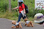 犬のいる風景、お出かけ