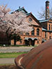 桜、さくら、ビール園