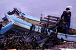 昆布漁場の風景、ノシャップ港