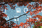令和元年、札幌の春。、公園を見続けた窓