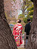 令和元年、札幌の春。、晴れの日