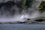 地獄谷、大沼湯。、灼熱池の素顔