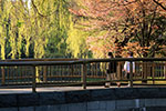 札幌の春、豊平公園