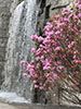 札幌の春、芸術の森