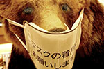 マスクの情景、熊のマスク