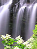 札幌の四季、滝の夏