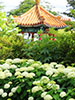 札幌の四季、中国庭園