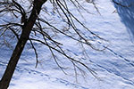 札幌の四季、残雪