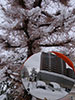 札幌の冬、玄関のミラー