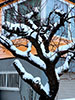札幌の冬、街の雪景