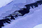 冬の記憶、凍るオコタンペ湖