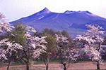 北国の山風景、駒ヶ岳 １