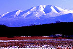 北国の山風景、 海別岳 ２