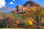 北国の山風景、昭和新山 ４