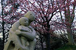 札幌の桜風景、オブジェ　1