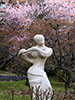 札幌の桜風景、オブジェ　2