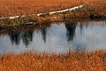 神仙沼の風景、水鏡１