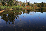 神仙沼の風景、池塘風景１