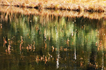 神仙沼の風景、秋色１