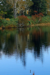 神仙沼の風景、池塘風景２