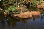 神仙沼の風景、水鏡３