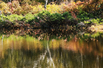 神仙沼の風景、秋色３
