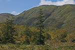 神仙沼の風景、白樺山