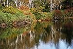 神仙沼の風景、秋色４
