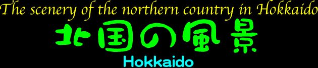 ハロー若山のホームページ　北国の風景　北海道