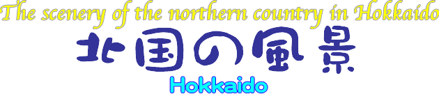 ハロー若山のホームページ　北国の風景　北海道