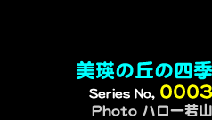 シリーズ番号3番　美瑛の丘の四季